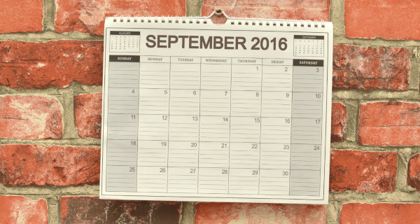 Wall calendars